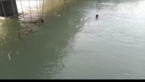 Screenshot 20220406 163009 WhatsApp