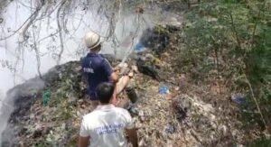 Screenshot 20220411 112421 WhatsApp