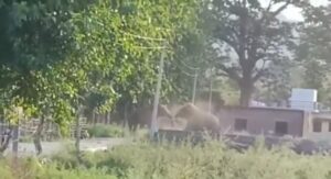 Screenshot 20220817 151518 WhatsApp