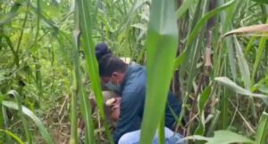 Screenshot 20220823 164920 WhatsApp