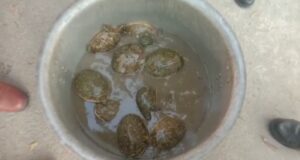 Screenshot 20220916 095822 WhatsApp