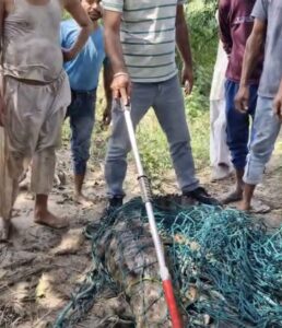 IMG 20250807 WA0121 1