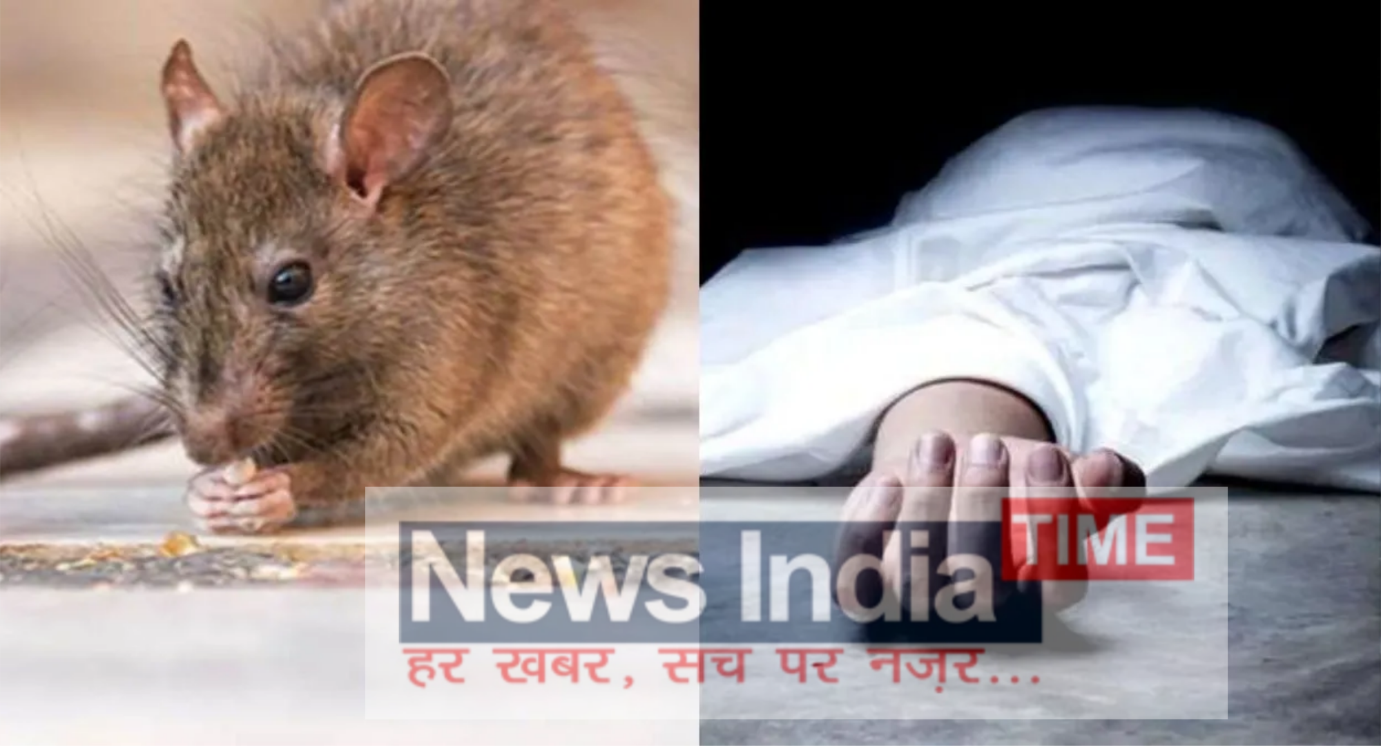 Picsart 25 12 08 17 32 27 717