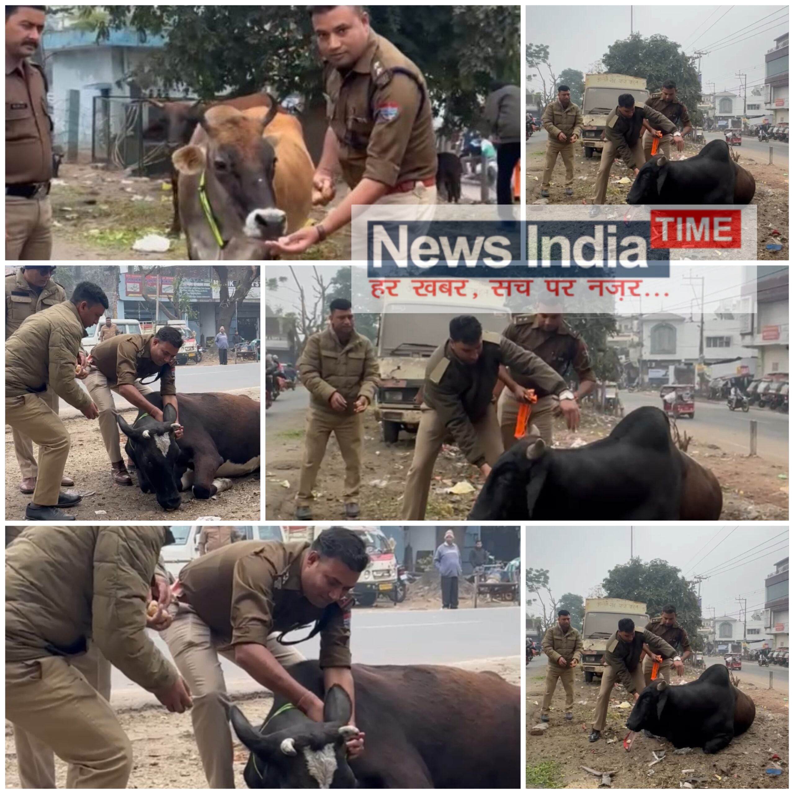 Picsart 25 12 18 11 06 54 791 scaled